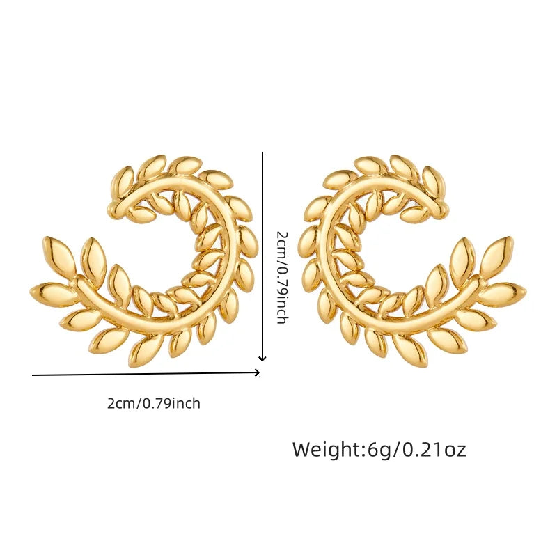 Irregular Design Earrings Women