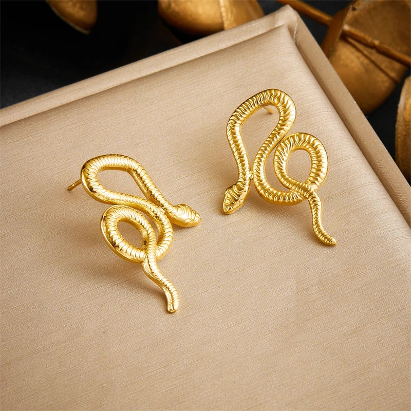 Irregular Design Earrings Women
