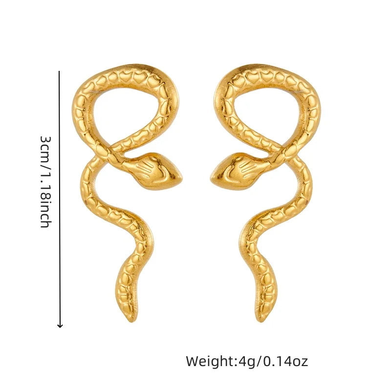 Irregular Design Earrings Women