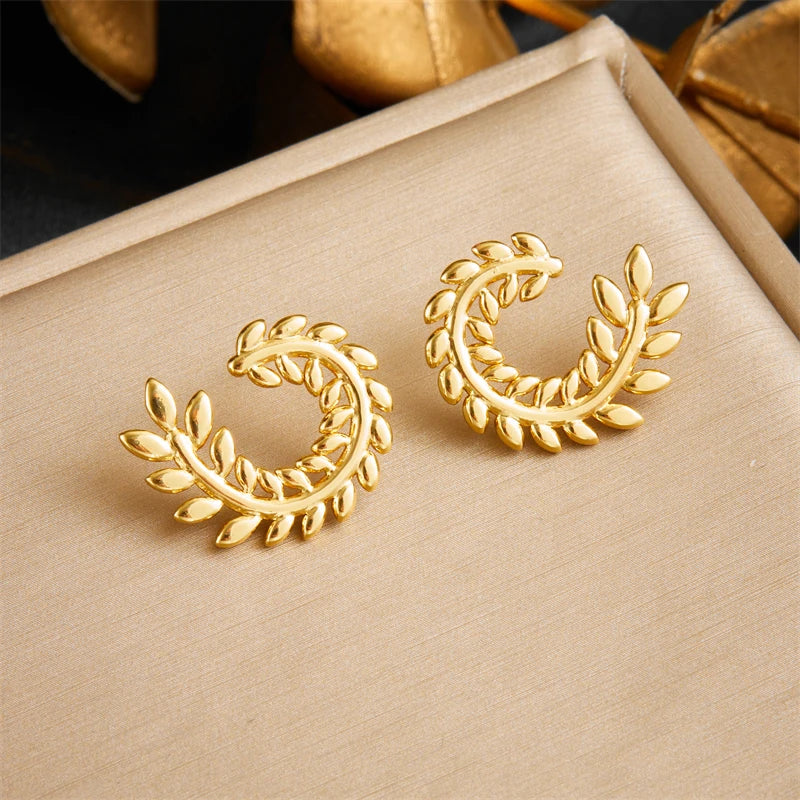 Irregular Design Earrings Women