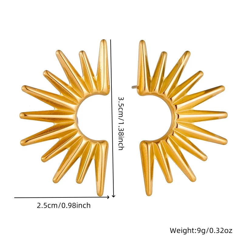 Irregular Design Earrings Women