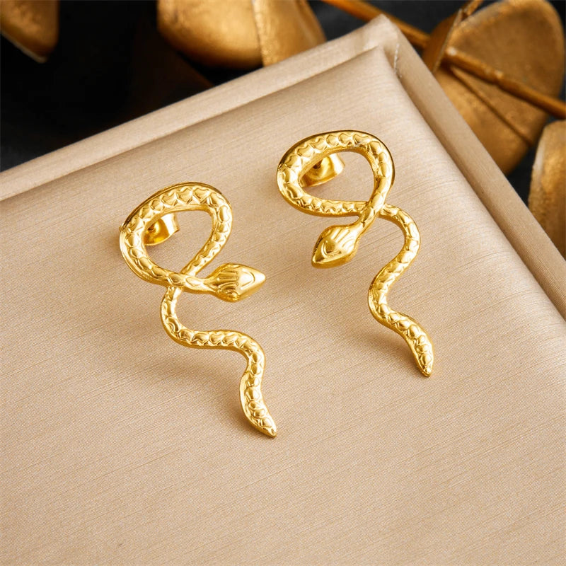 Irregular Design Earrings Women