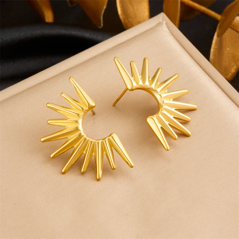 Irregular Design Earrings Women